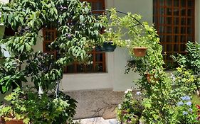 Garden Guest House